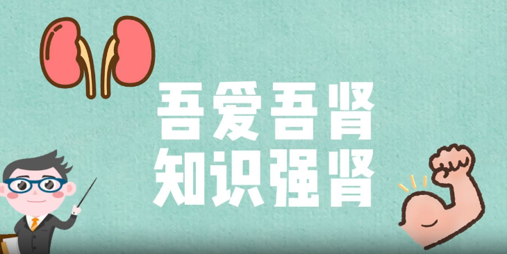 吾爱吾肾 知识强肾
