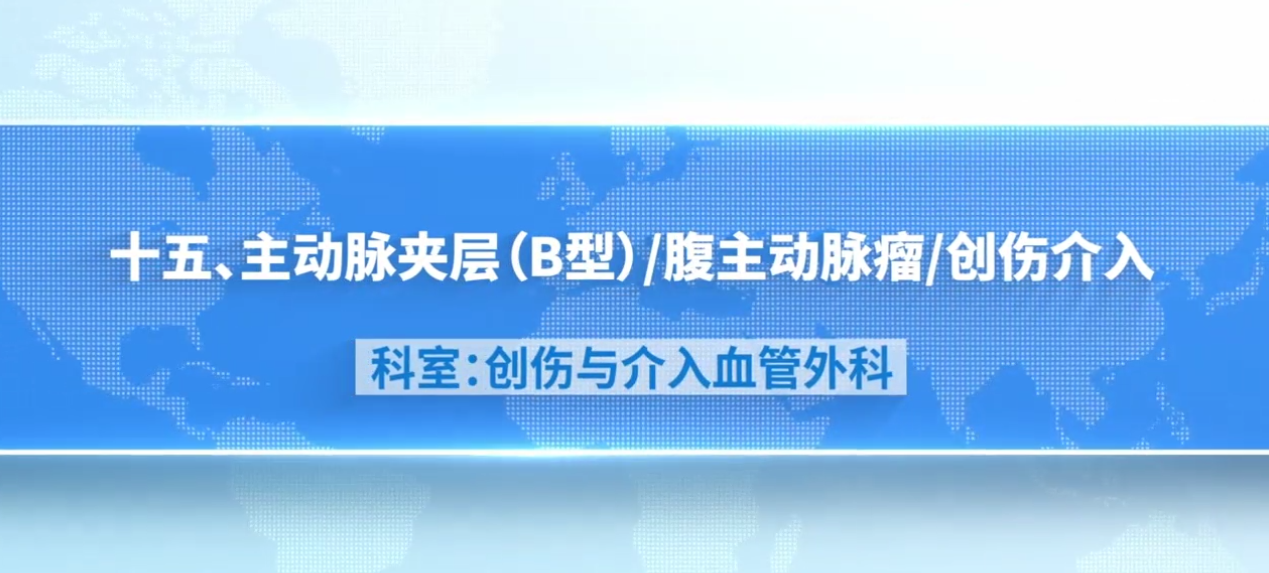 主动脉夹层(B型)/腹主动脉瘤/创伤介入