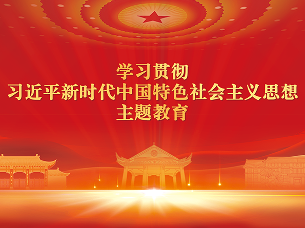 学习贯彻习近平新时代中国特色社会主义思想主题教育
