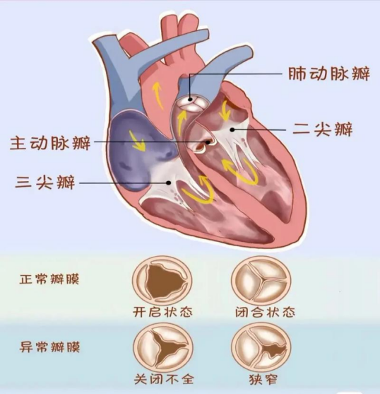 图片3.png 图片3.png