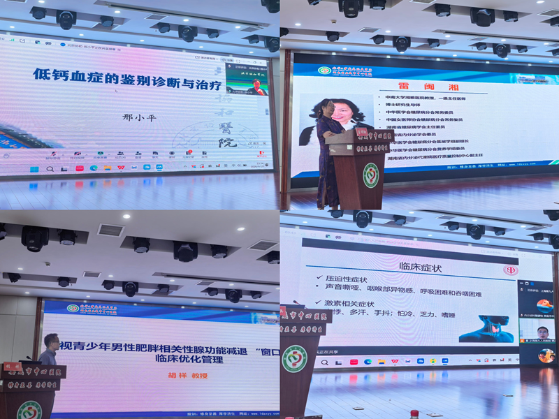 娄底市医学会内分泌学专业委员会2026年学术会议召开