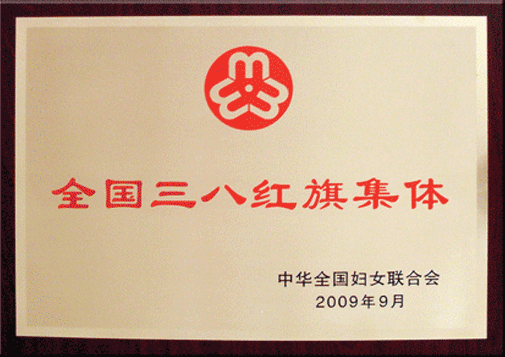 全国三八红旗集团
