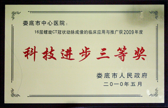 2009年度科技进步三等奖