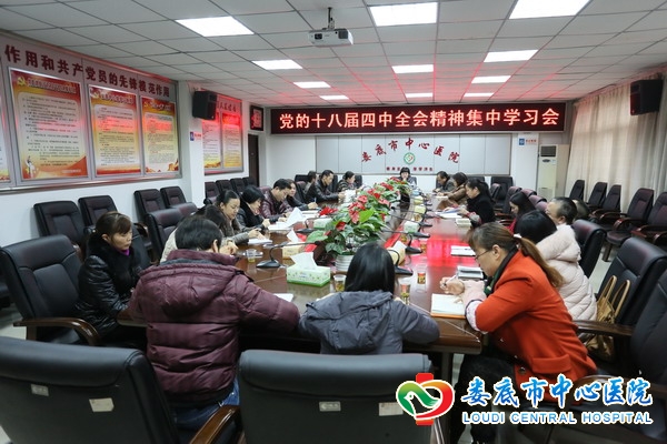 我院集中学习十八届四中全会精神