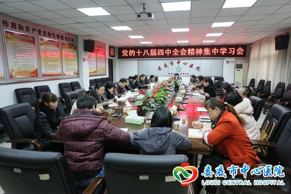 我院集中学习十八届四中全会精神