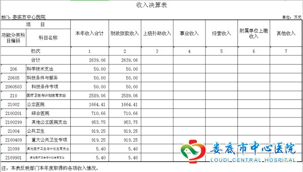 娄底市中心医院2017年决算表