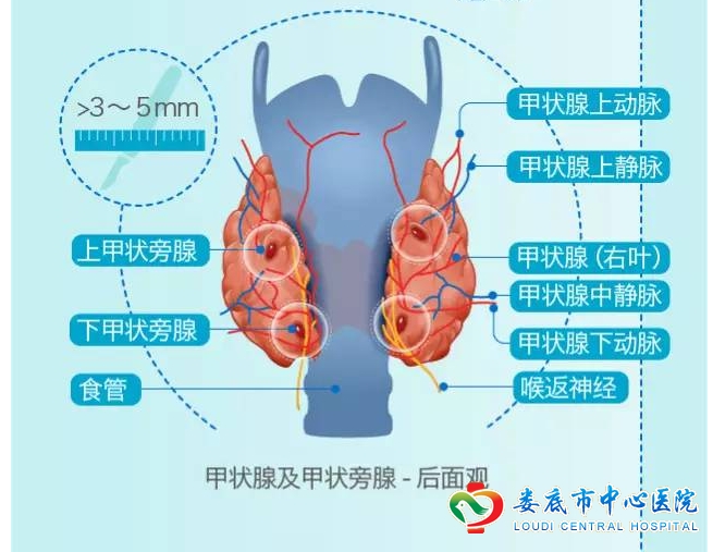 小肿瘤，大危害