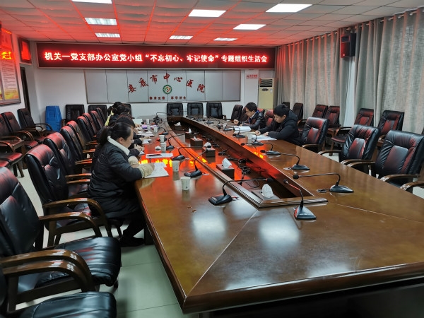 办公室党小组召开专题组织生活会