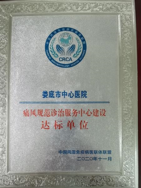 我院荣获“痛风规范诊治服务中心建设达标单位”称号