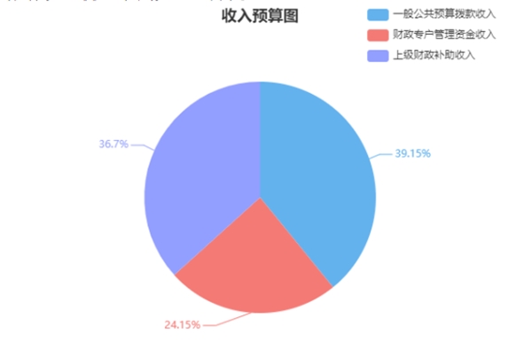 娄底市中心医院（差额单位）2024年部门预算公开