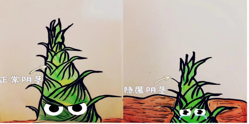 202408231730261334.png