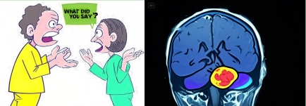 202505271200140053.png